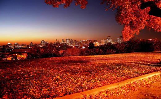 1083759 (a): :2560x1581